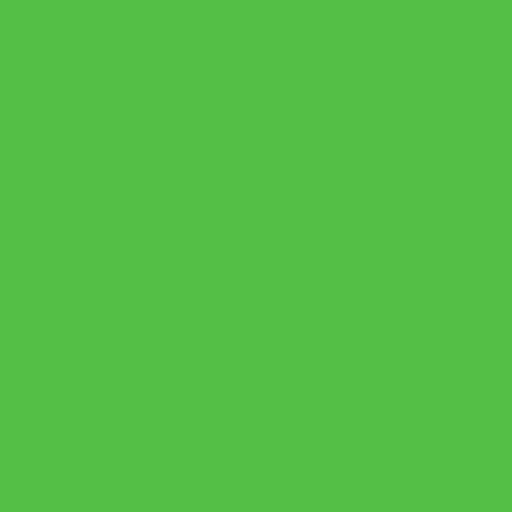 Siser Starling - Matte Bright Green